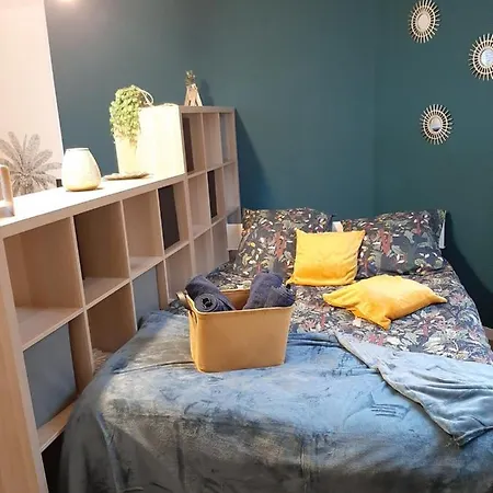 Apartment Charmant Studio Proche Centre, Gare , Et Aeroport. Beauvais